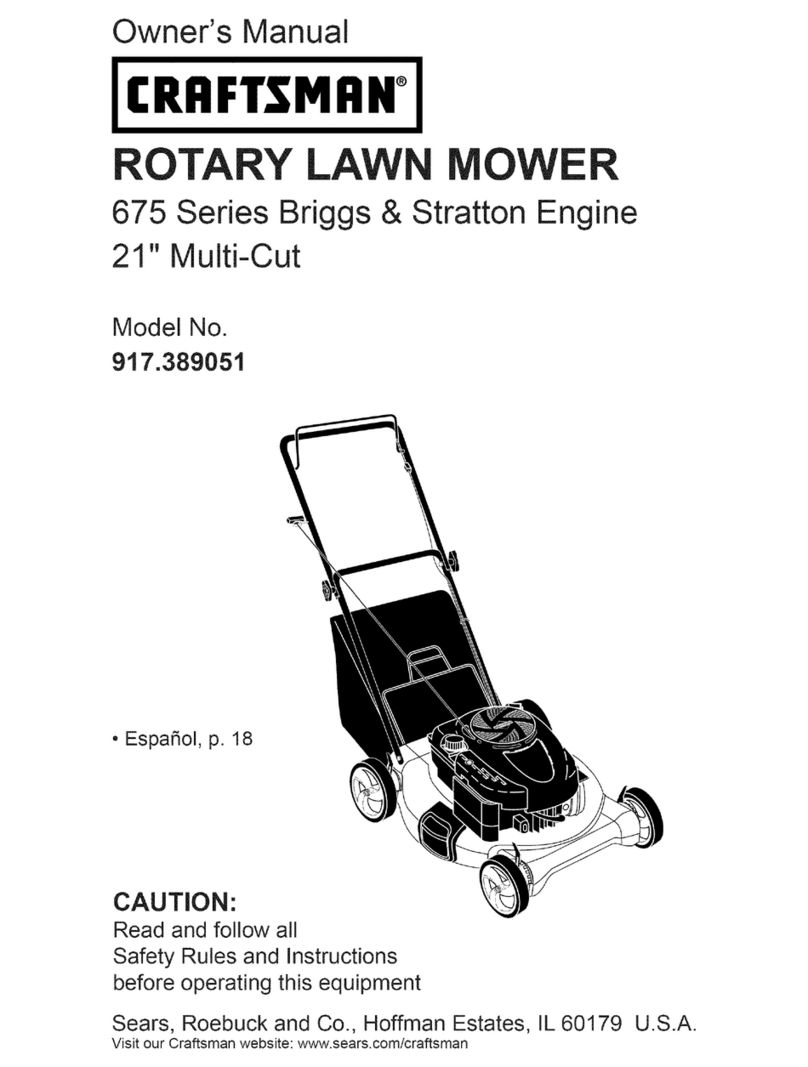 Craftsman 917.389051 User manual