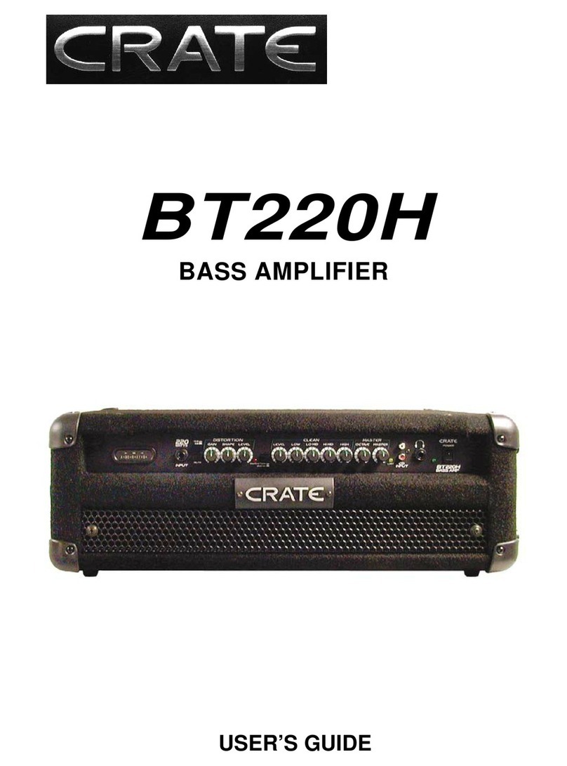 Crate BT220H User manual