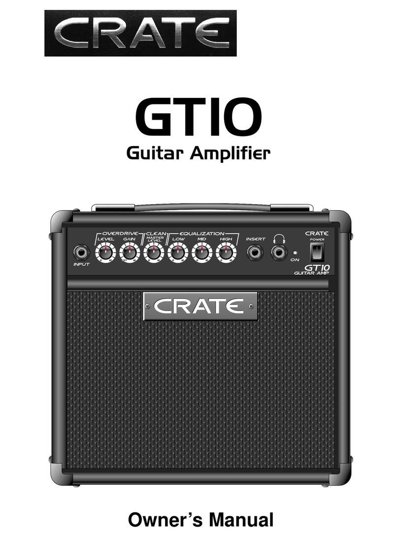 Crate GT10 User manual