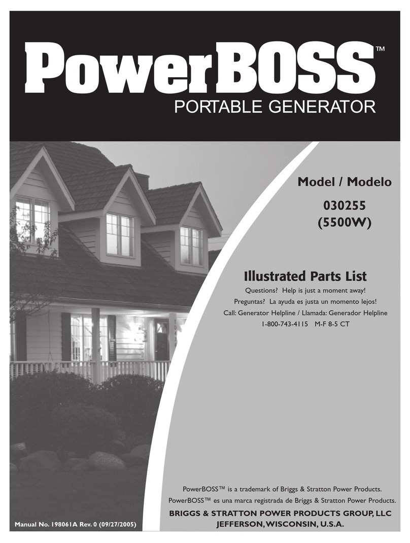 Briggs & Stratton 30255 Setup guide Briggs & Stratton 30255 Setup guide