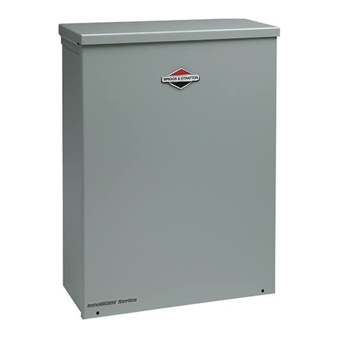Briggs & Stratton 200010GS Setup guide