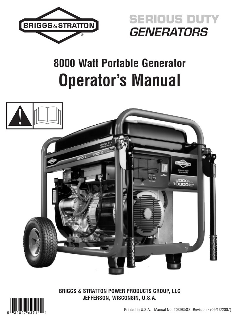Briggs & Stratton 203985GS User manual