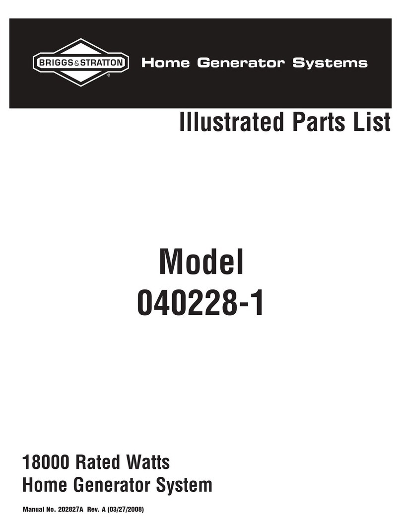 Briggs & Stratton 040228-1 Setup guide