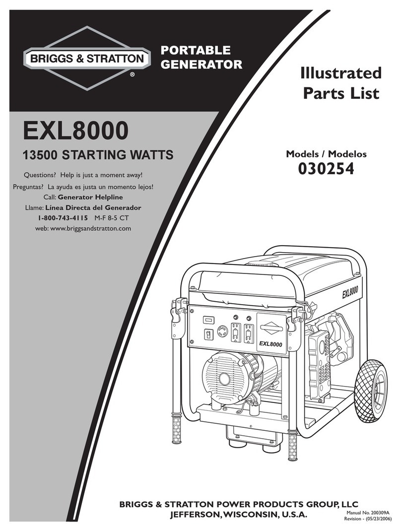 Briggs & Stratton 30254 Setup guide Briggs & Stratton 30254 Setup guide