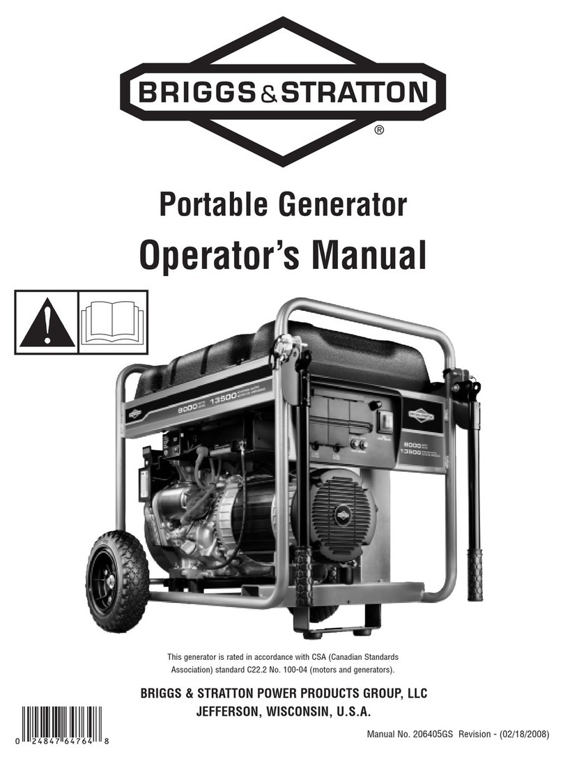 Briggs & Stratton 206405GS User manual