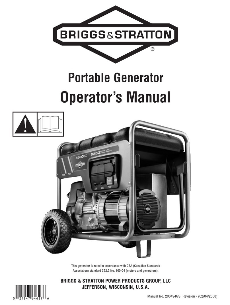 Briggs & Stratton 206494GS User manual