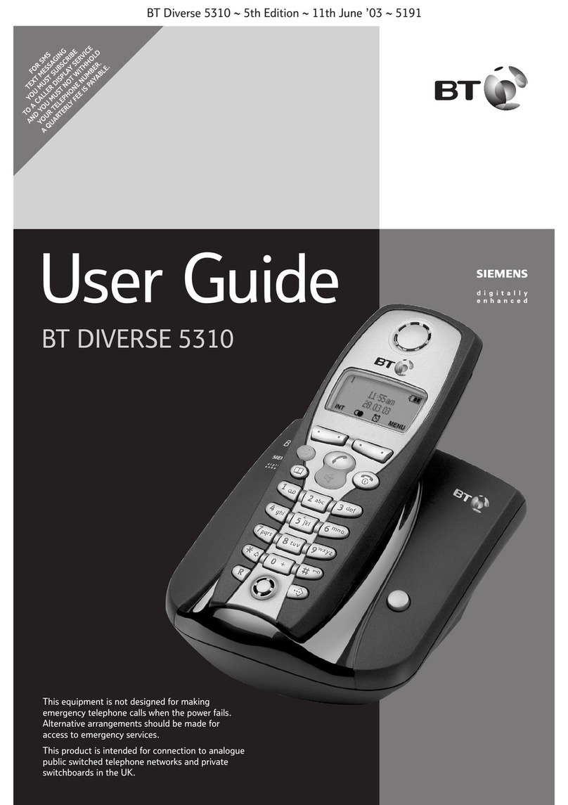 BT DIVERSE 5310 User manual