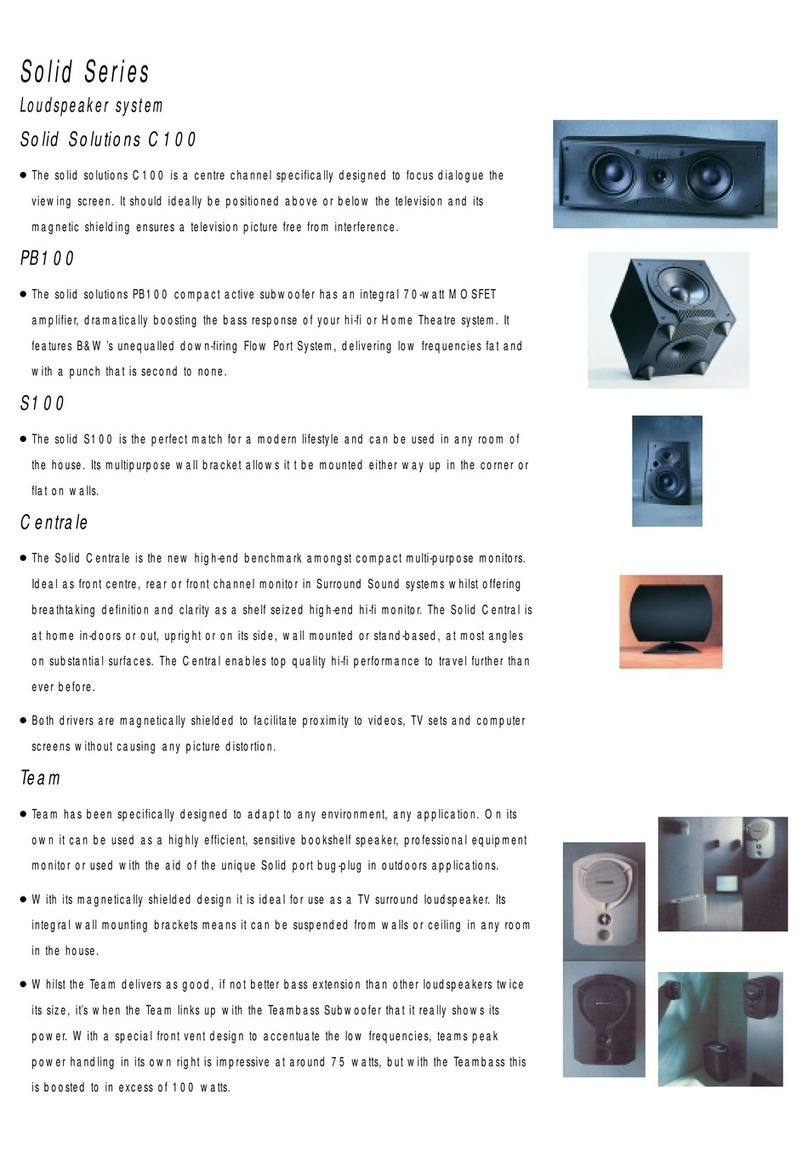 Bowers & Wilkins C100 User manual