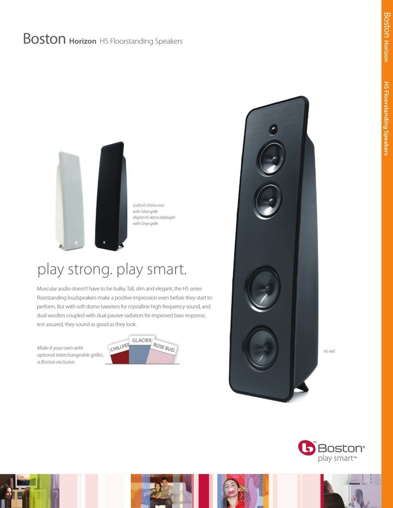 Boston Acoustics Horizon HS 450 User manual