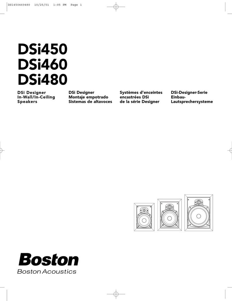 Boston Acoustics DSi450 manual