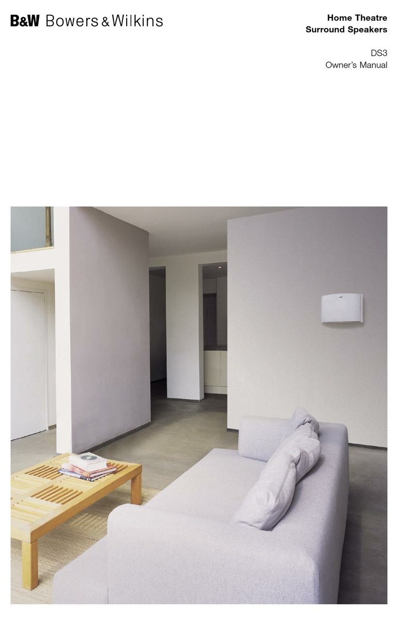 Bowers & Wilkins DS3 User manual