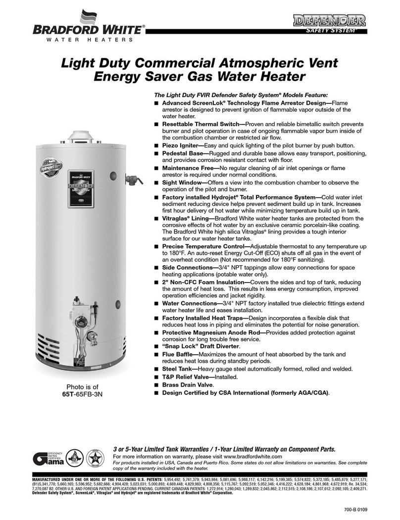 Bradford White 65T-65FB-3N Specification sheet