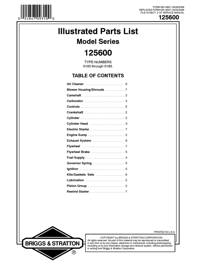 Briggs & Stratton 125600 Series Setup guide