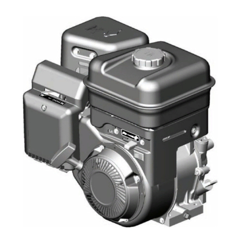 Briggs & Stratton VANGUARD 120000 Operator's manual