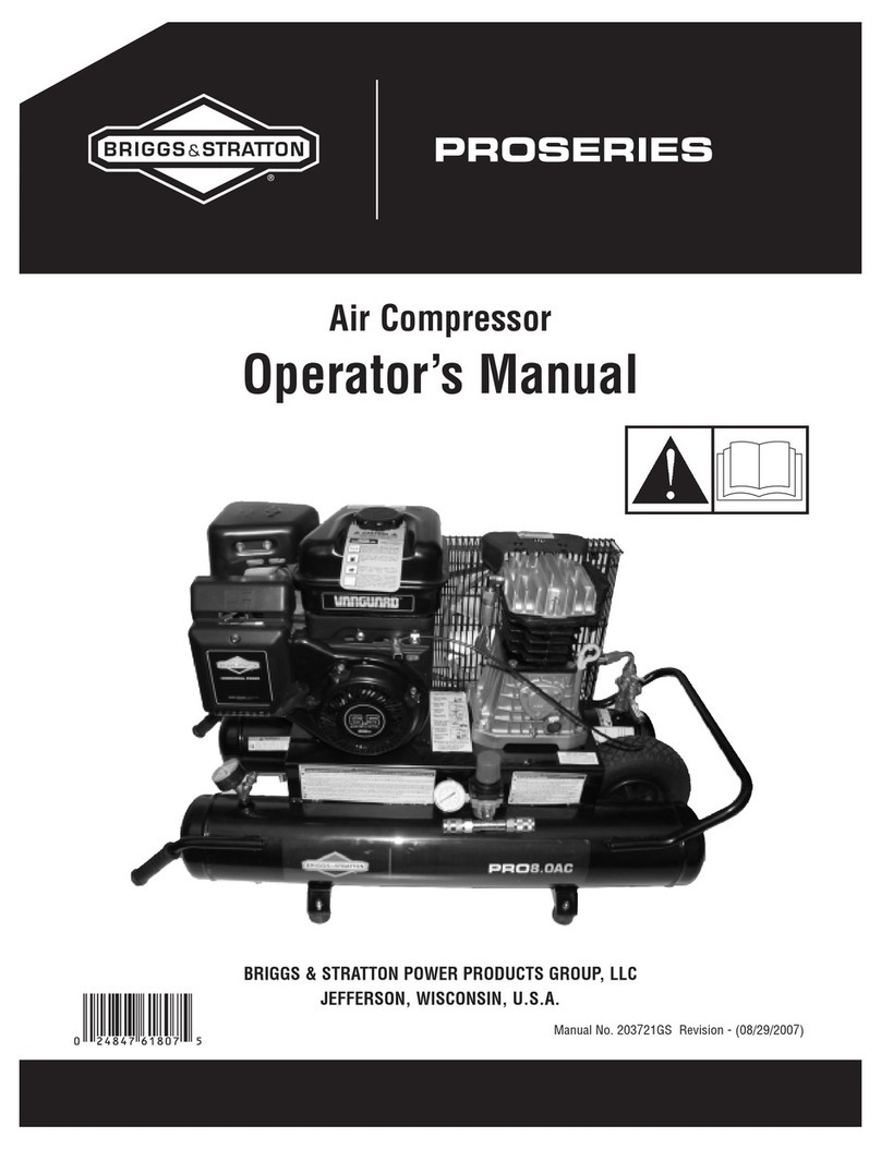 Briggs & Stratton 203721GS User manual
