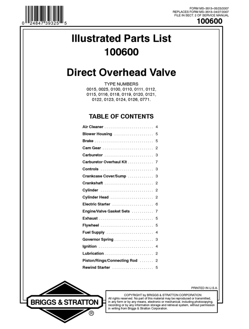 Briggs & Stratton 100600 Series Setup guide