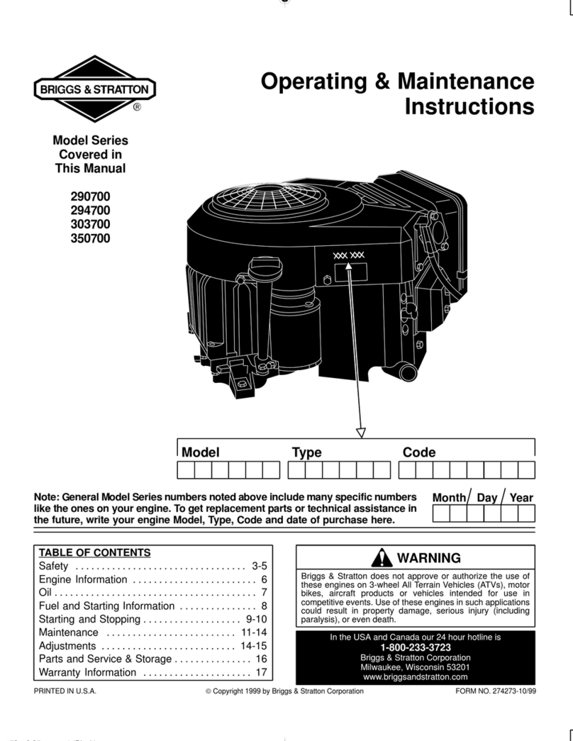Briggs & Stratton 290700 Series Operating & maintenance instructions