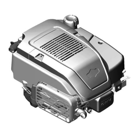 Briggs & Stratton PROFESSIONAL SERIES 110000 User manual