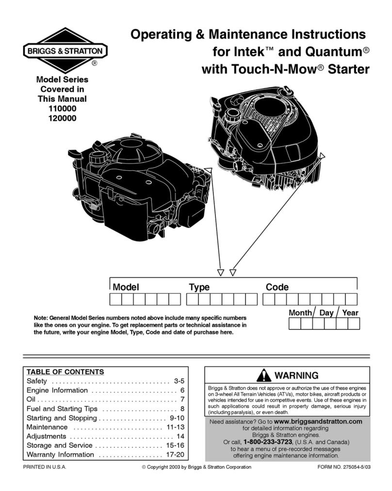 Briggs & Stratton PROFESSIONAL SERIES 110000 Manual