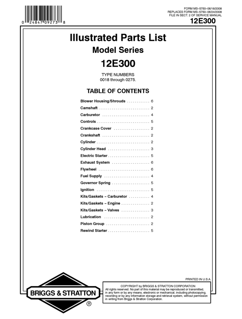 Briggs & Stratton 12E300 Series Setup guide