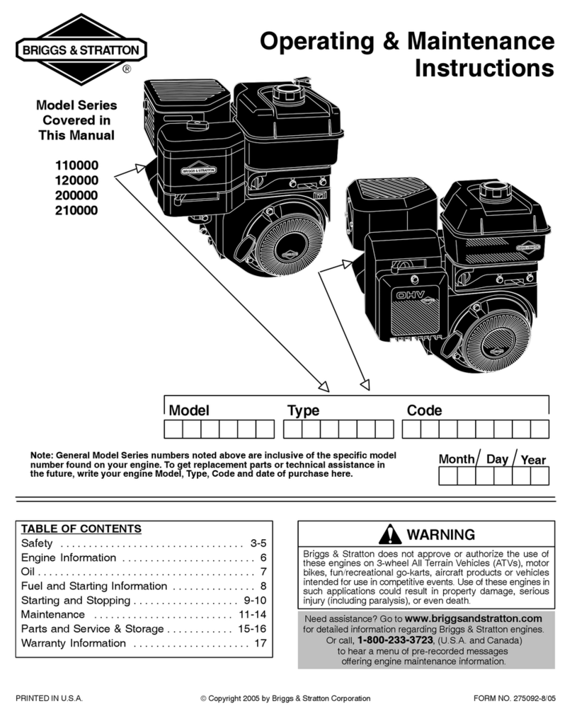 Briggs & Stratton PROFESSIONAL SERIES 110000 Manual