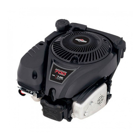 Briggs & Stratton Classic 100000 Series User manual