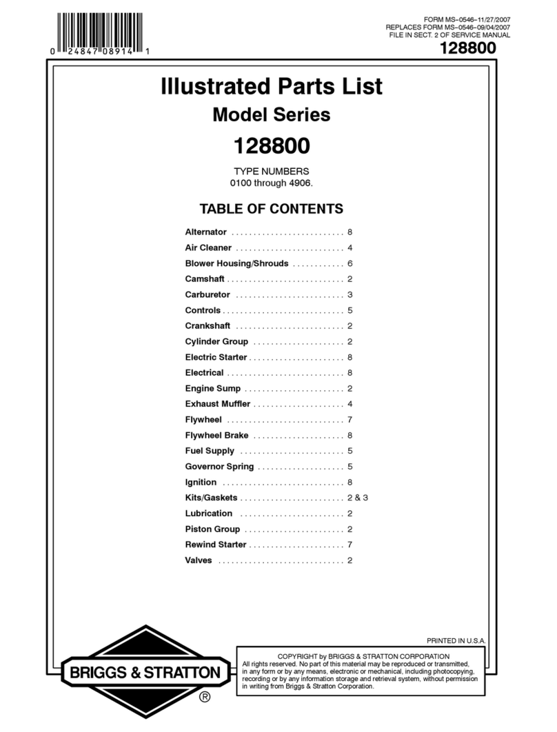 Briggs & Stratton 128800 Series Setup guide