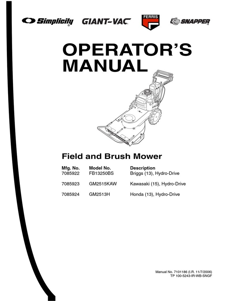 Briggs & Stratton FB13250BS Operator's manual
