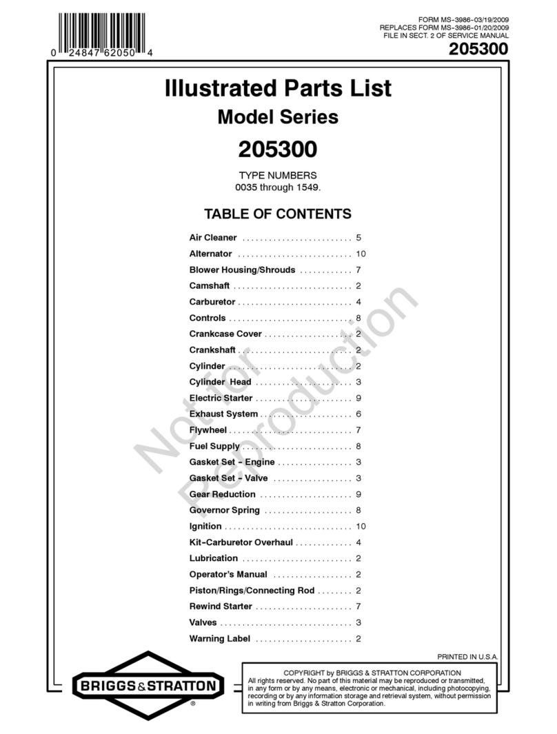 Briggs & Stratton 205300 Series Setup guide