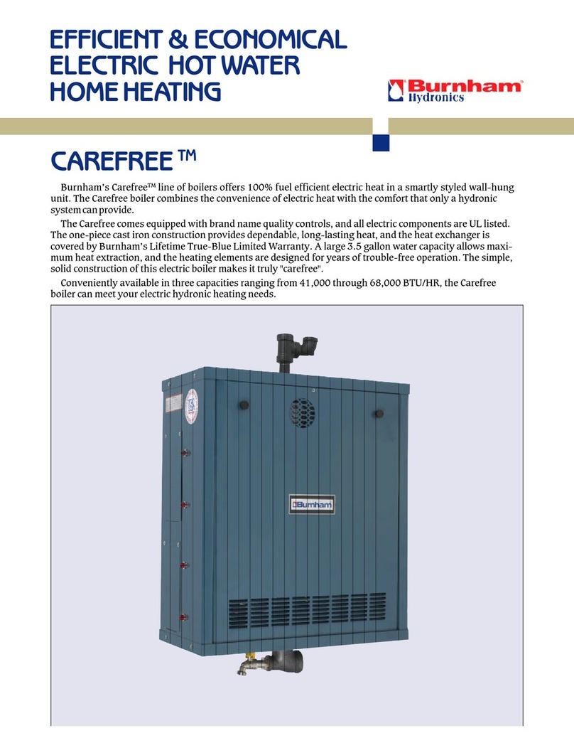 Burnham Carefree DOE User manual