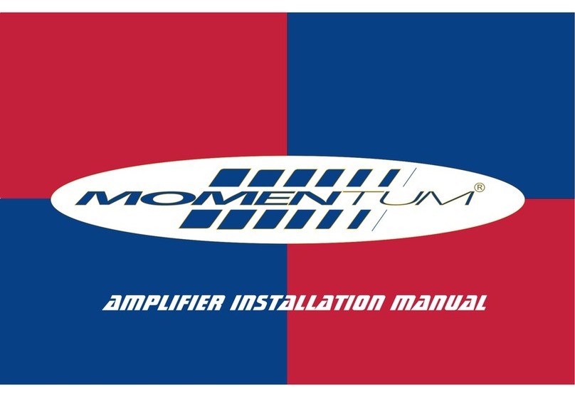 Momentum Momentum Amplifier none installation manual