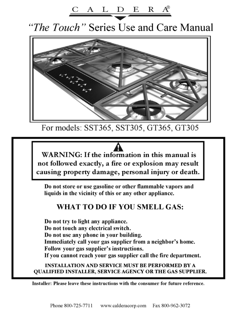 Caldera The Touch GT305 User manual