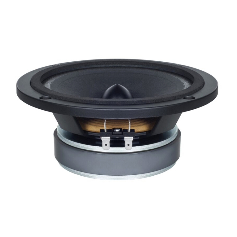 B&C Speakers 6 PEV 13 Specifications