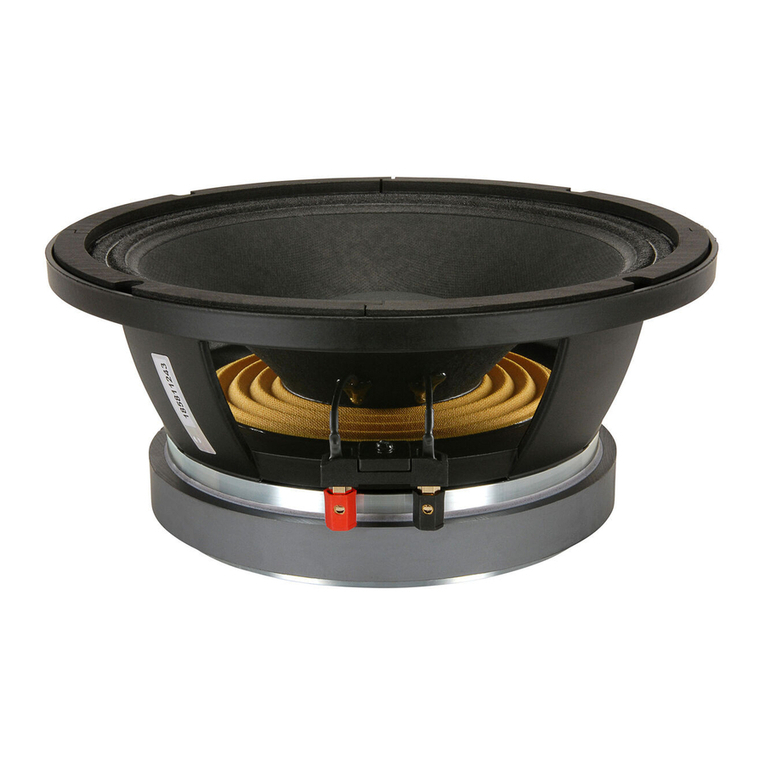 B&C Speakers 10 PE 26 User manual