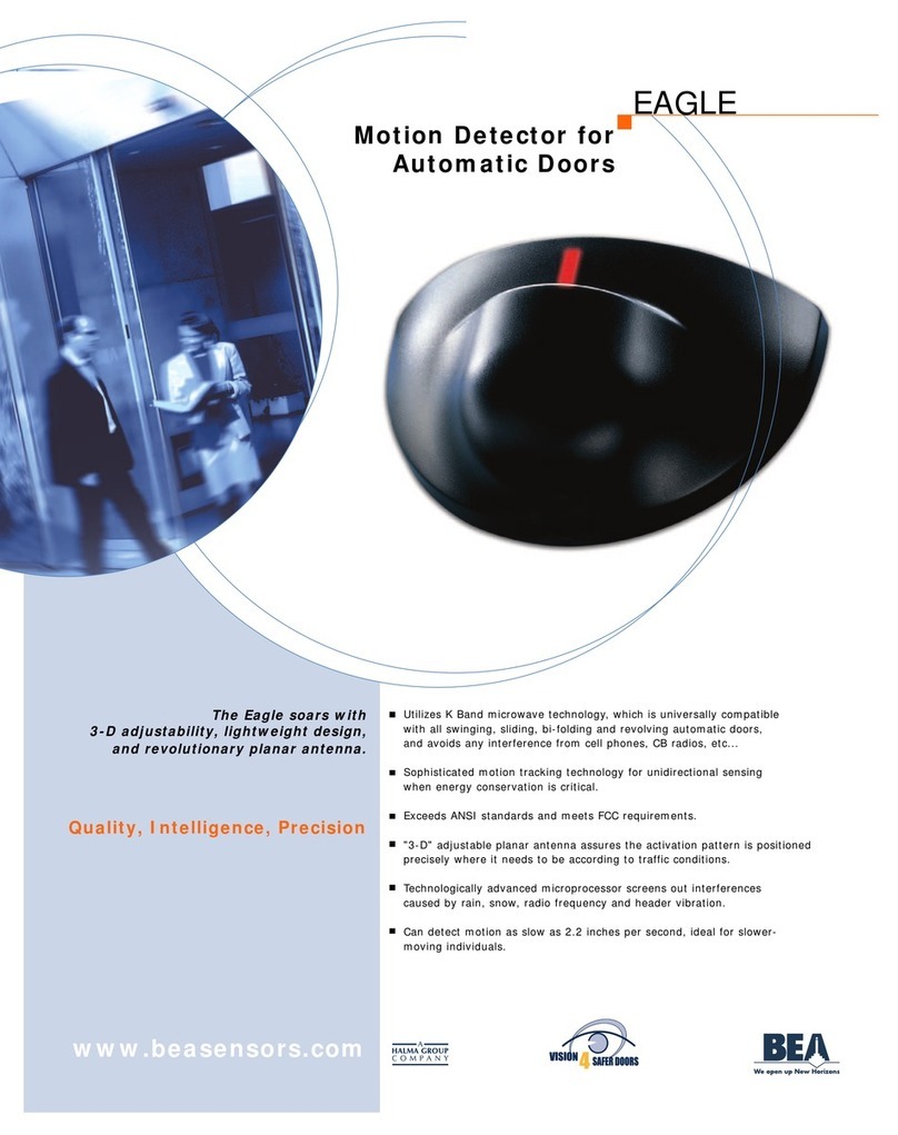 BEA Eagle brochure
