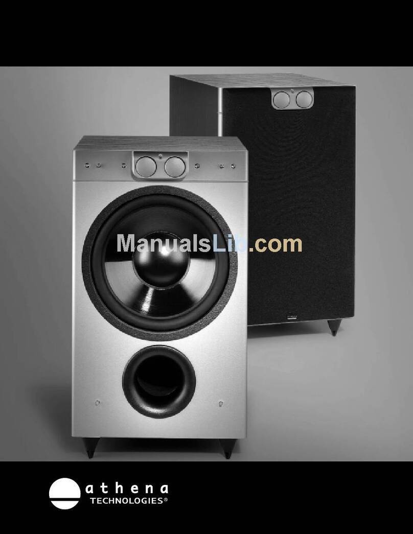 Athena Athena AS-P300 User manual