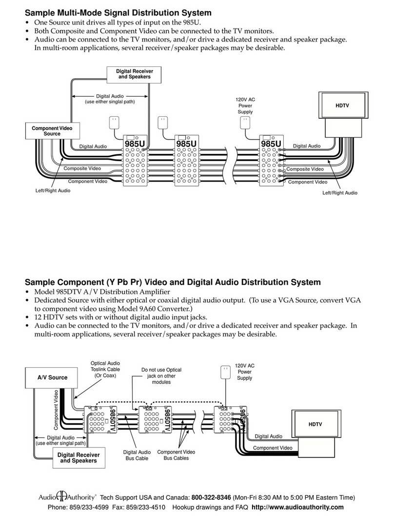 Audio Authority DTV User manual
