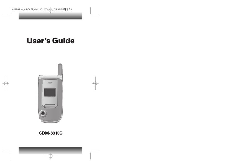 Audiovox CDM-89100C user guide