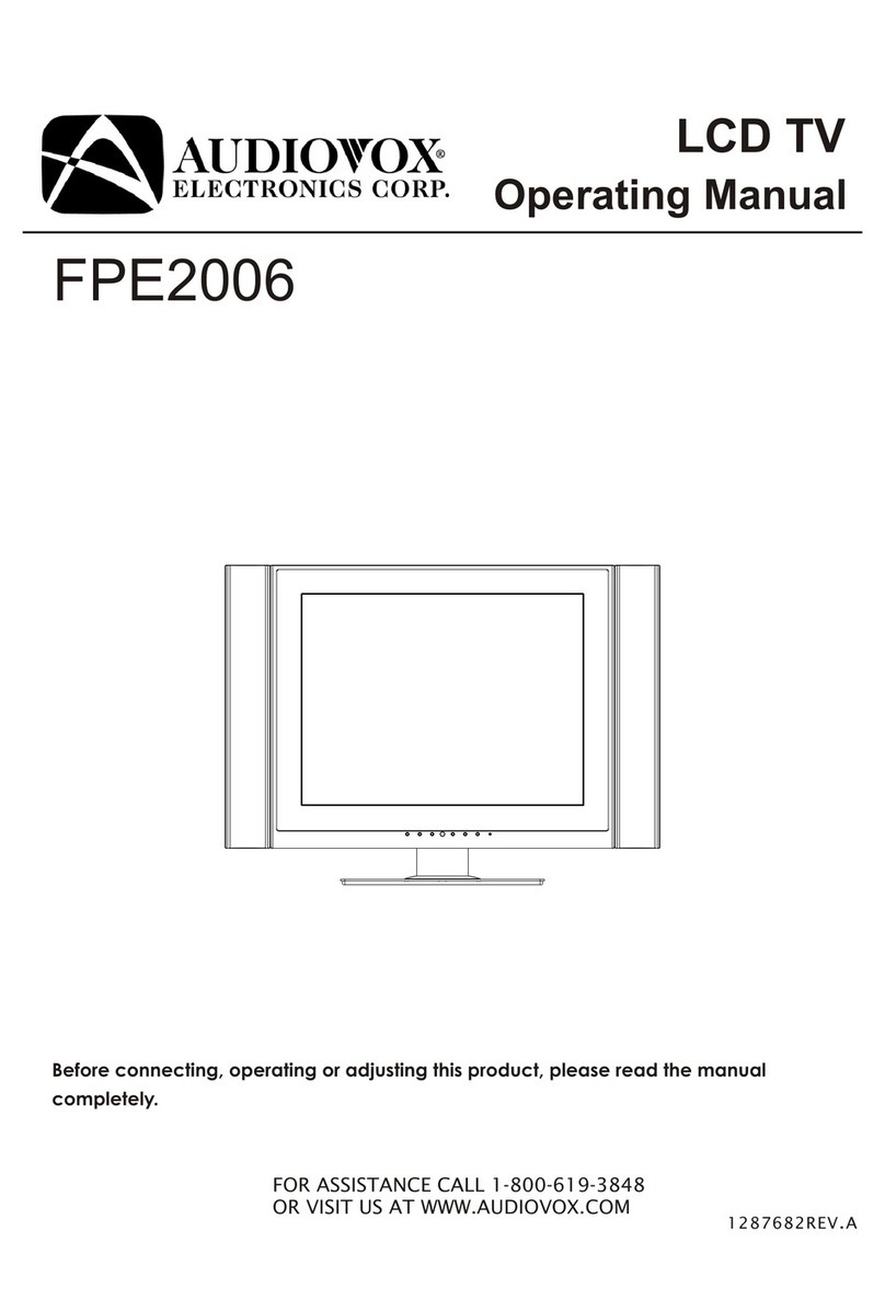 Audiovox FPE2006 User manual