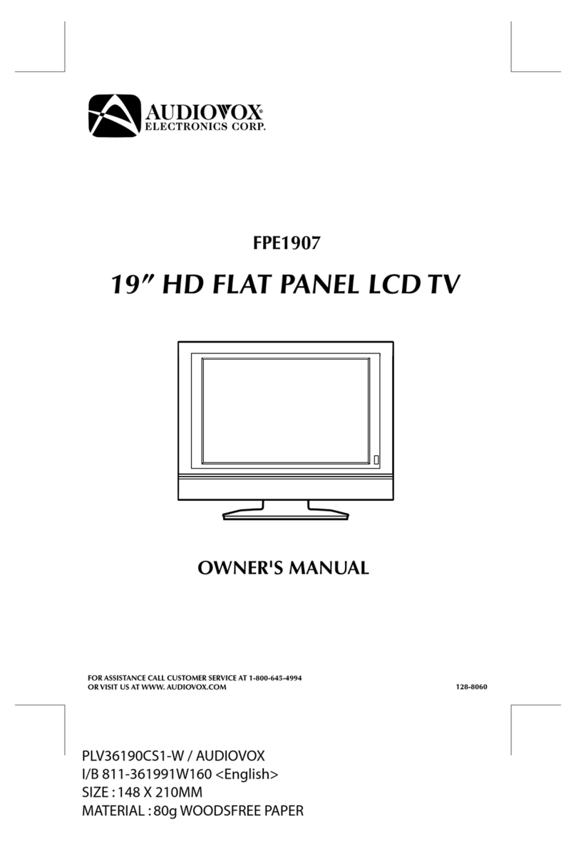Audiovox FPE1907 - 19" LCD TV User manual