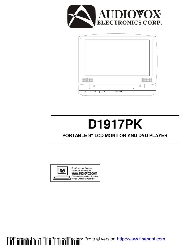 Audiovox D1917PK User manual