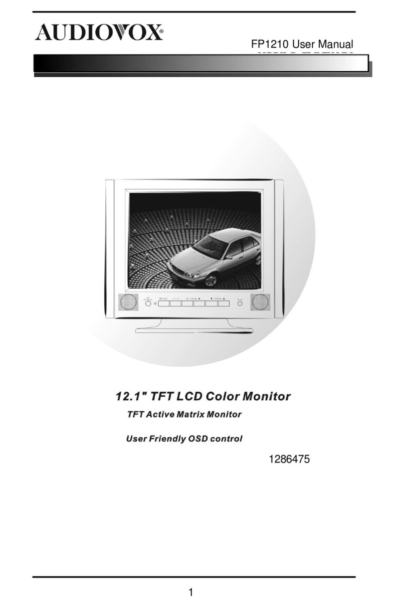 Audiovox FP1210 user manual