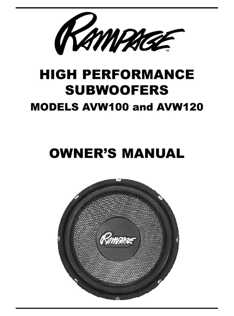 Audiovox Rampage AVW100 User manual
