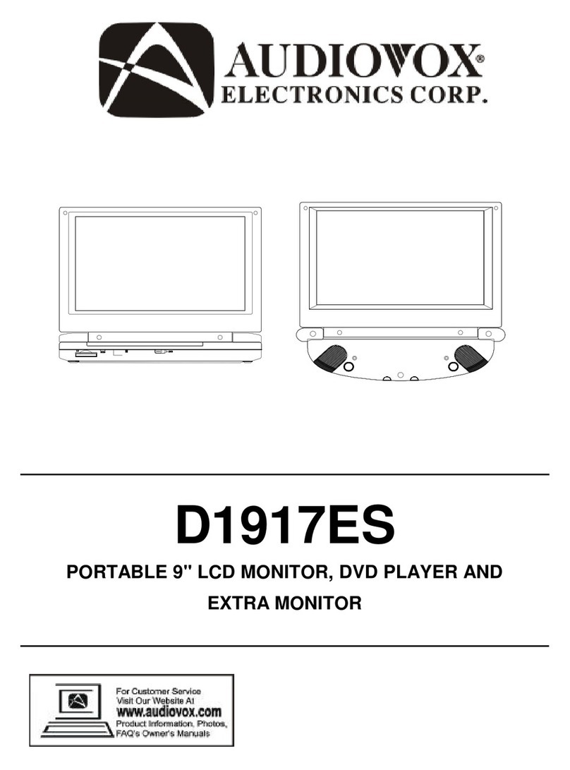 Audiovox D1917ES User manual