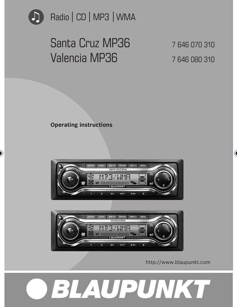 Blaupunkt SANTA CRUZ MP36 User manual