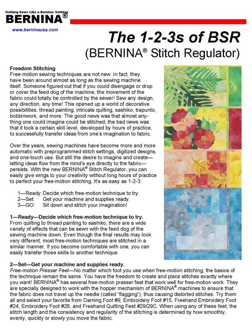 Bernina Switch Regulator brochure