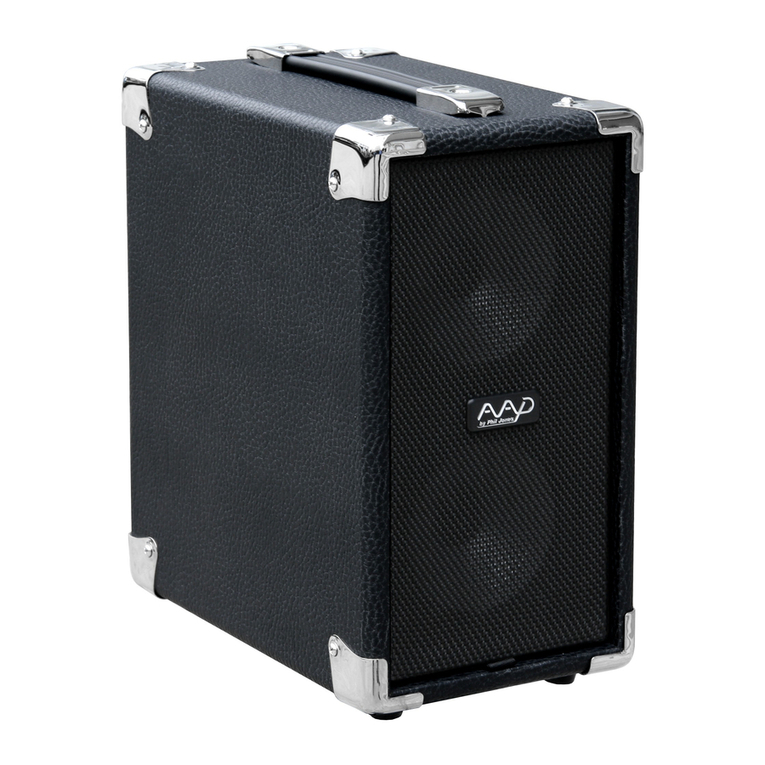 American Acoustic Development THE CUB CUB AG-100 owner's manual