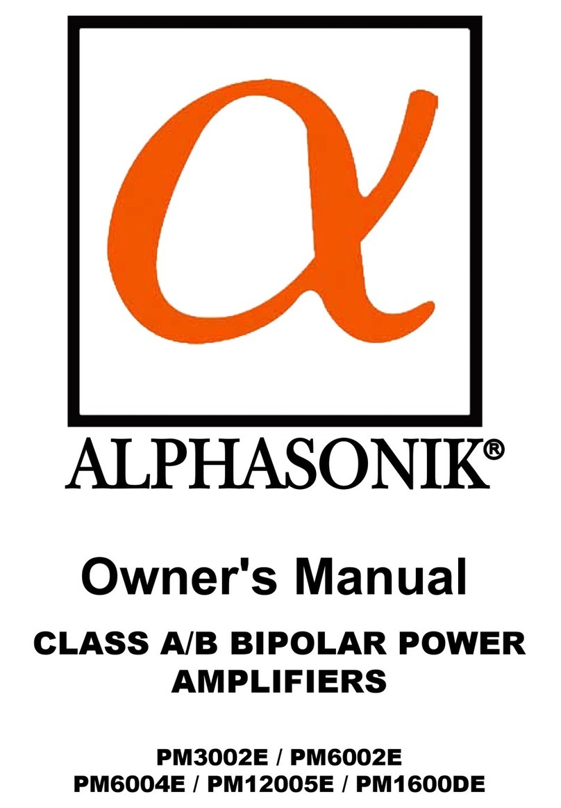Alphasonik PM12005E owner's manual