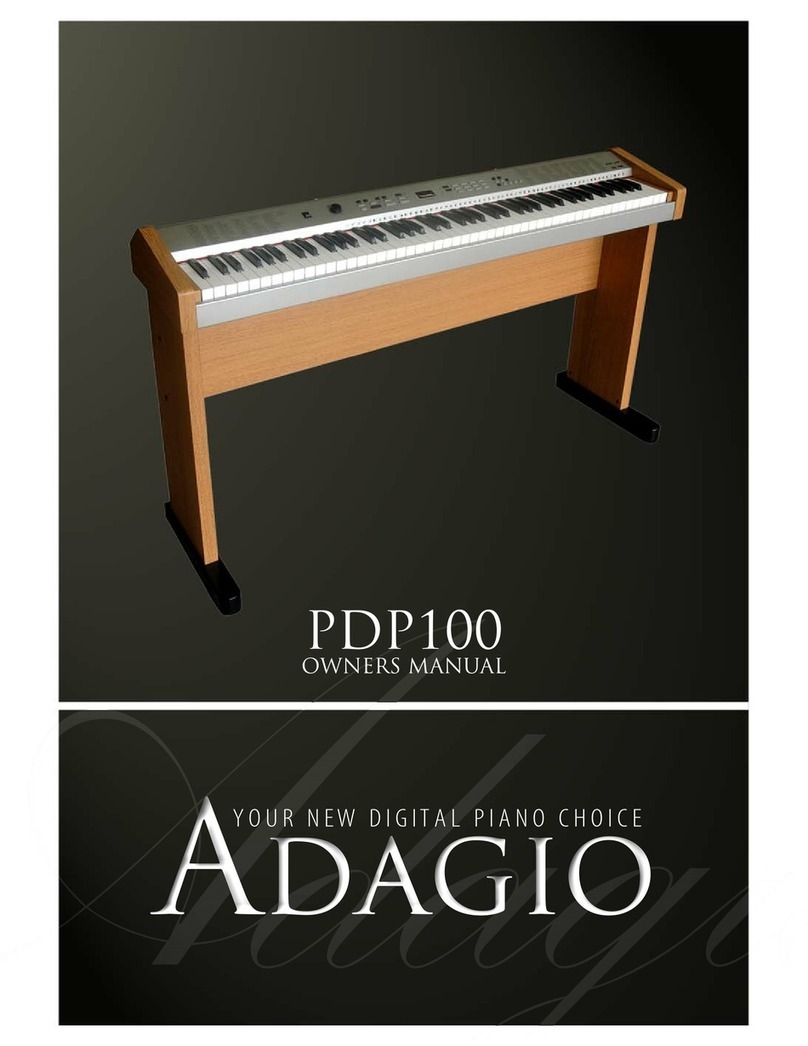 Adagio PDP100 user manual