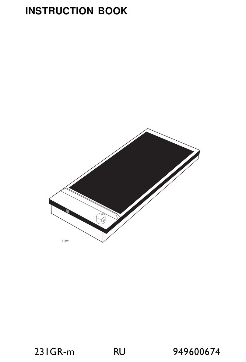 AEG 231GR-M RU 949600674 User manual AEG 231GR-M RU 949600674 User manual